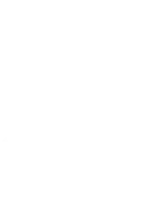 禅