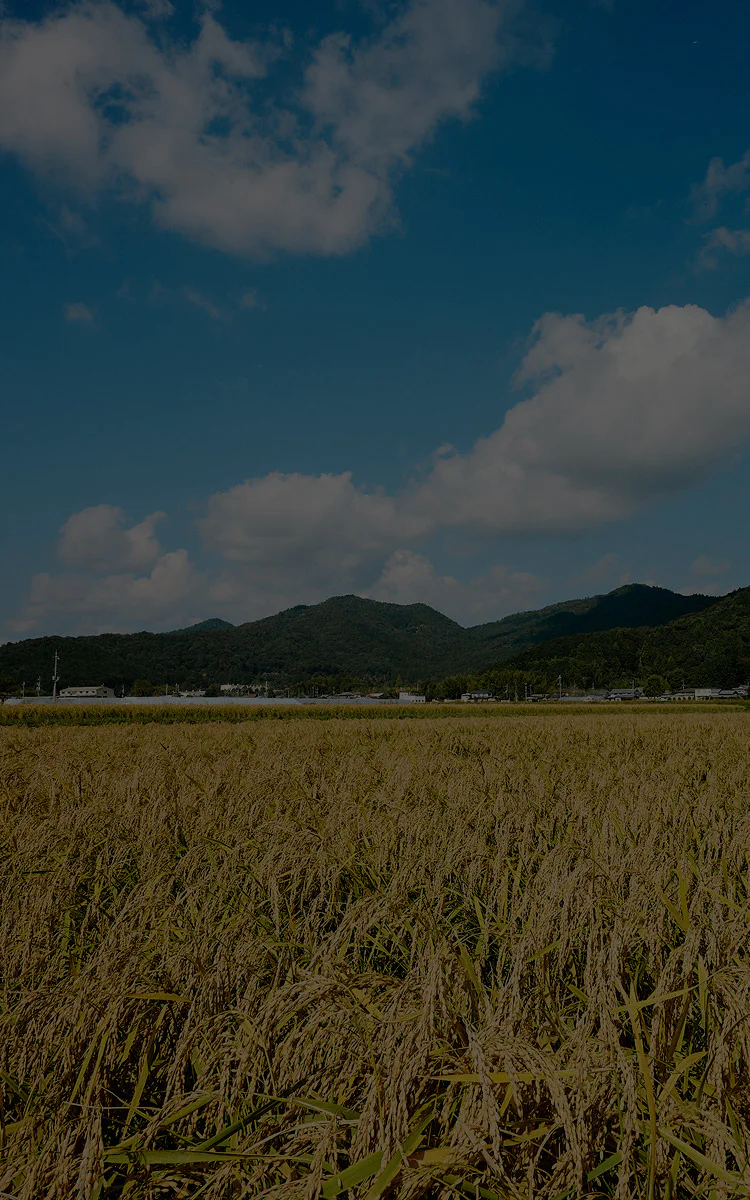 京都、テロワール